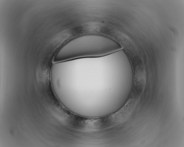 X0000112080172200908251113