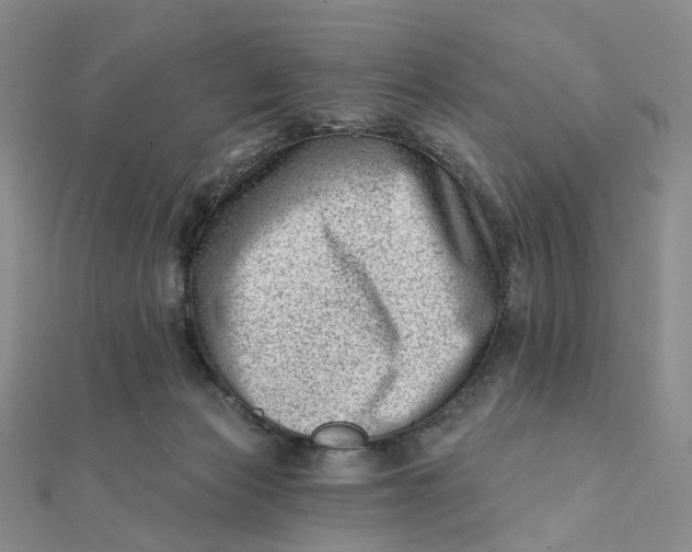 X0000112080173200908251113