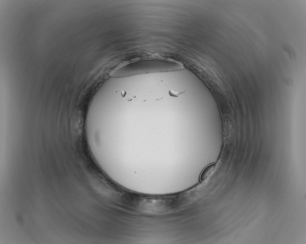 X0000112080174200908251113