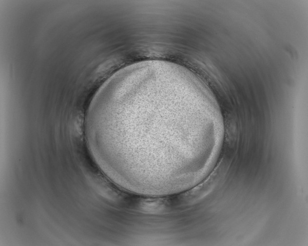 X0000112080175200908251113