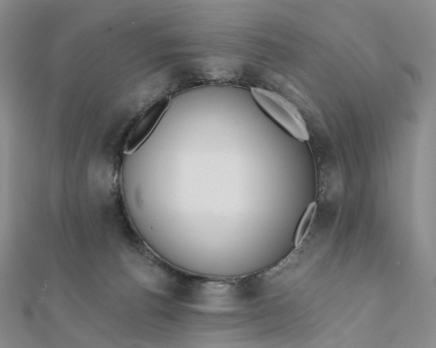 X0000112080176200908251113