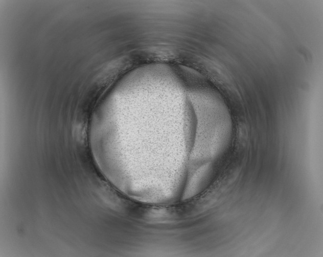X0000112080177200908251113