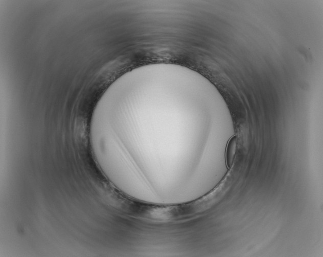 X0000112080178200908251113