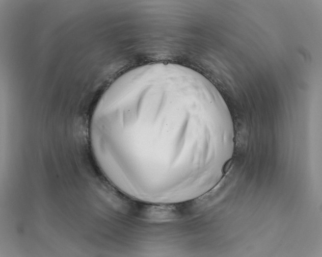 X0000112080179200908251113