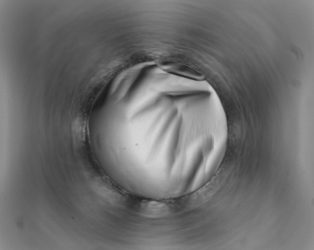X0000112080180200908251113