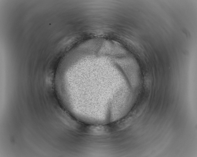 X0000112080181200908251113