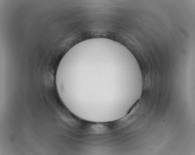 X0000112080183200908251113