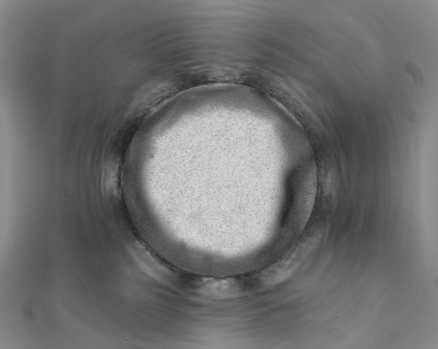 X0000112080185200908251113
