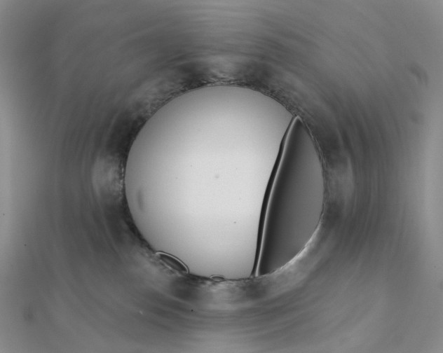 X0000112080186200908251113