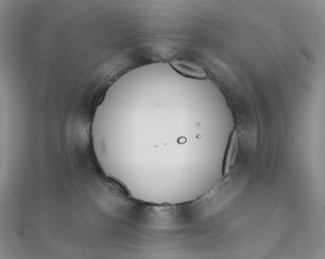 X0000112080188200908251113