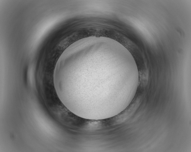 X0000112080189200908251113