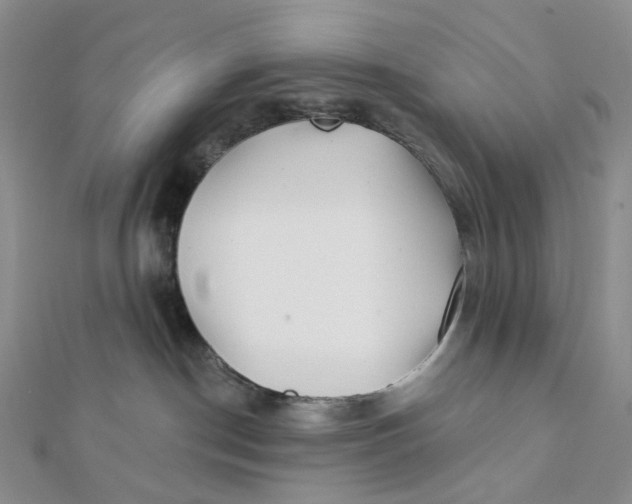 X0000112080190200908251113