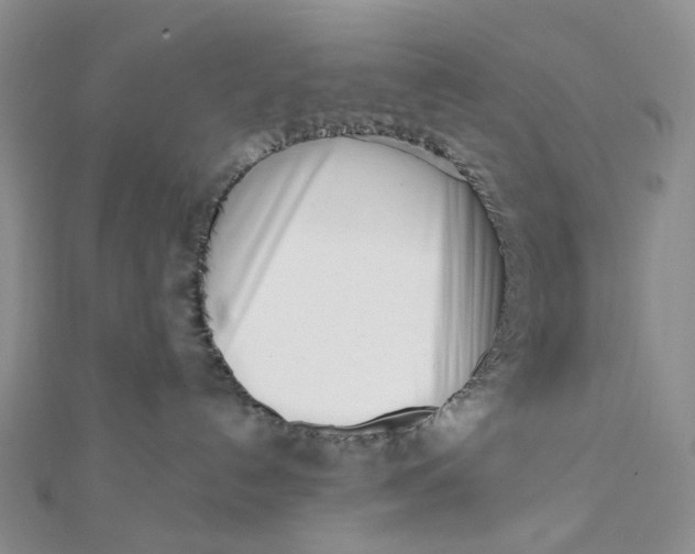 X0000112080192200908251113