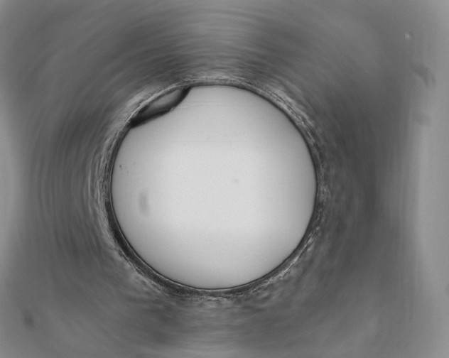 X0000112080193200908251112
