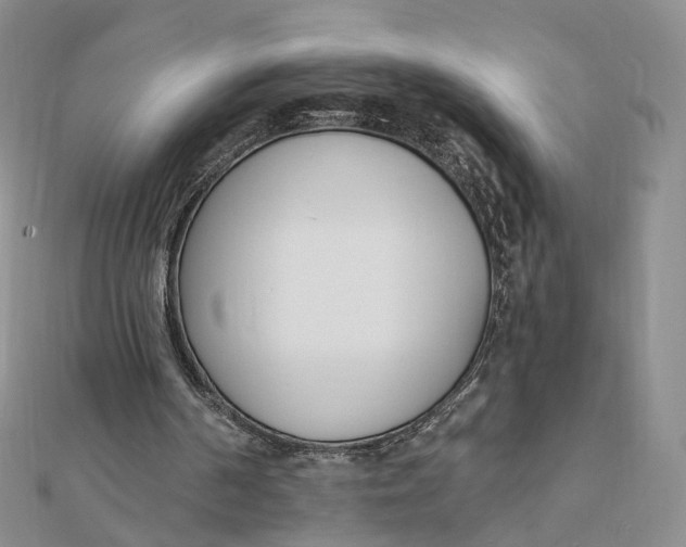 X0000112080194200908251112