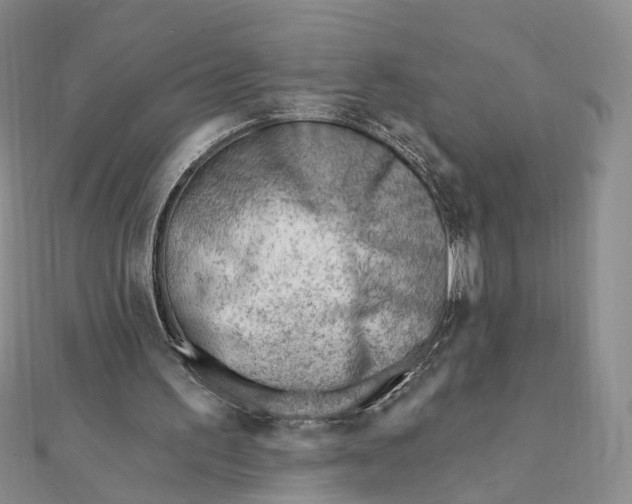 X0000112080195200908251112