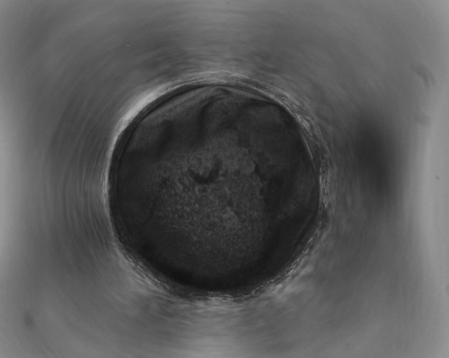 X0000112080196200908251112