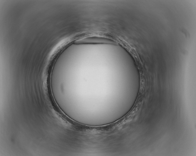 X0000112080197200908251112