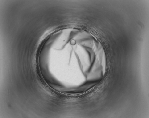X0000112080198200908251112