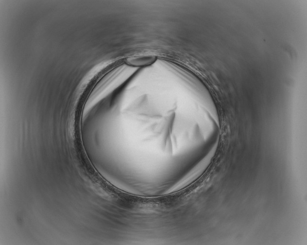X0000112080200200908251112