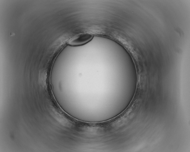 X0000112080201200908251112