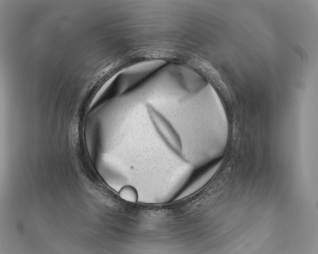 X0000112080202200908251112