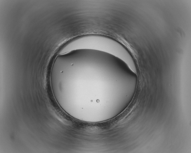 X0000112080203200908251112