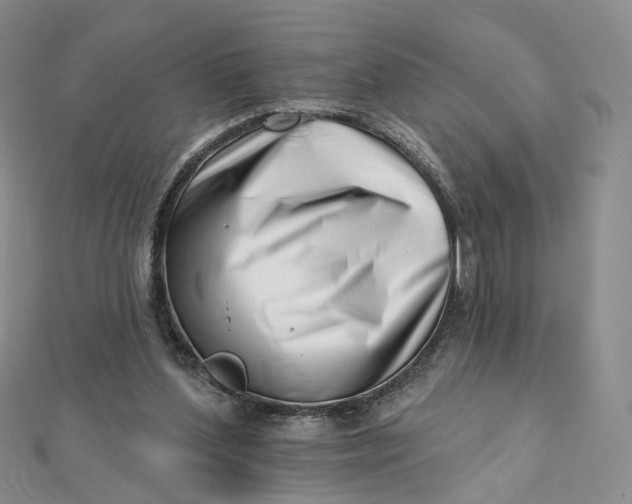 X0000112080204200908251112