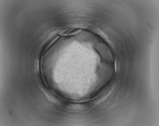 X0000112080205200908251112