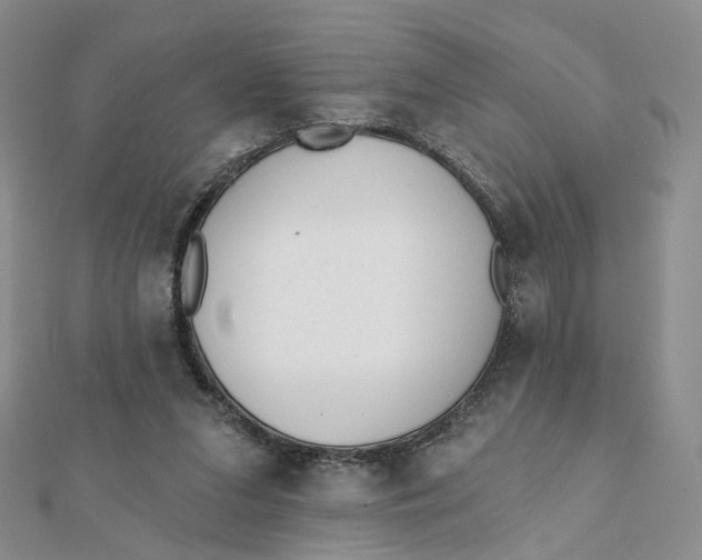 X0000112080207200908251112