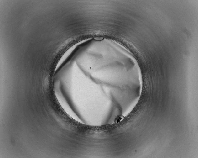 X0000112080208200908251112