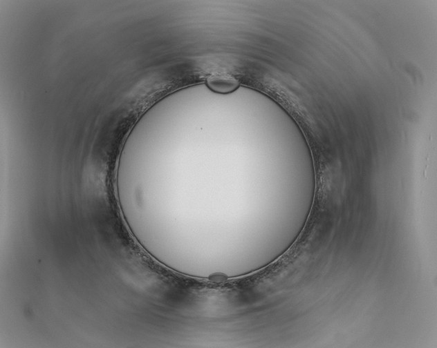 X0000112080209200908251112