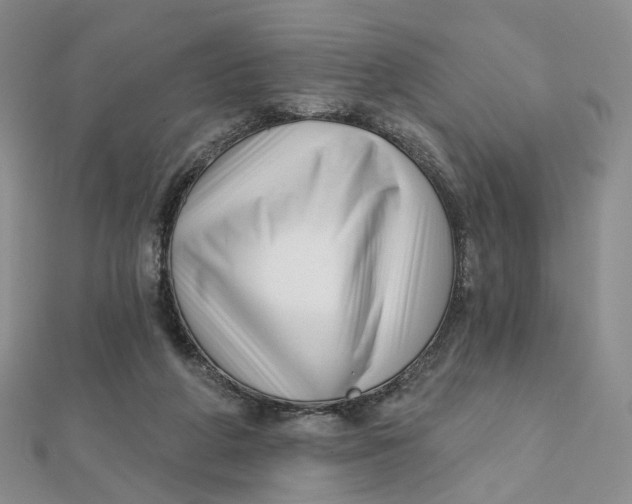 X0000112080210200908251112