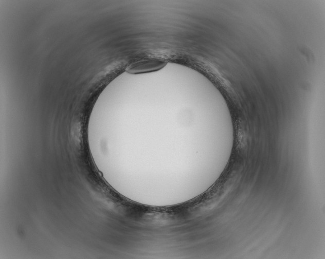 X0000112080211200908251112
