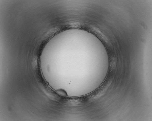 X0000112080213200908251112