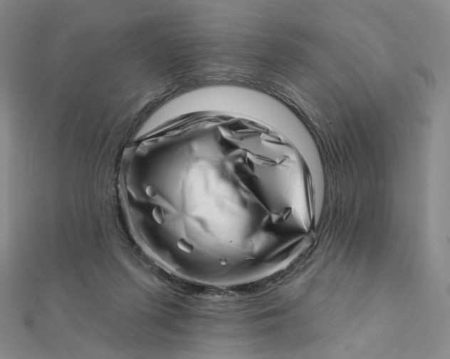 X0000112080215200908251112