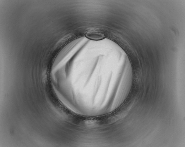 X0000112080216200908251112