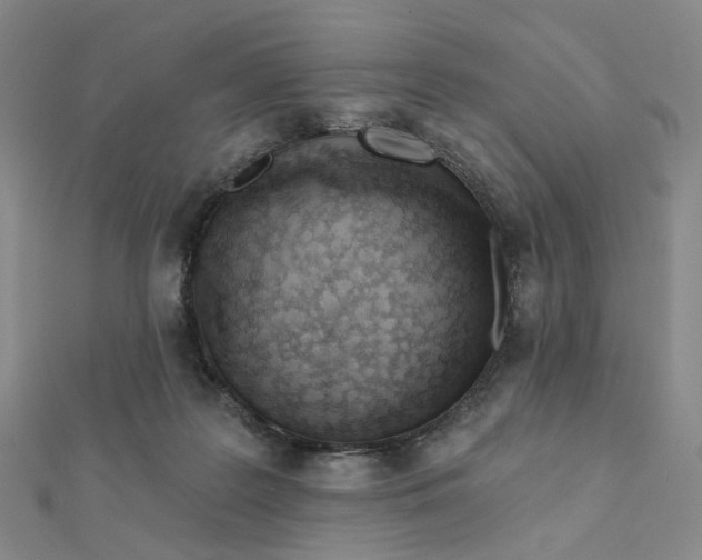 X0000112080219200908251112