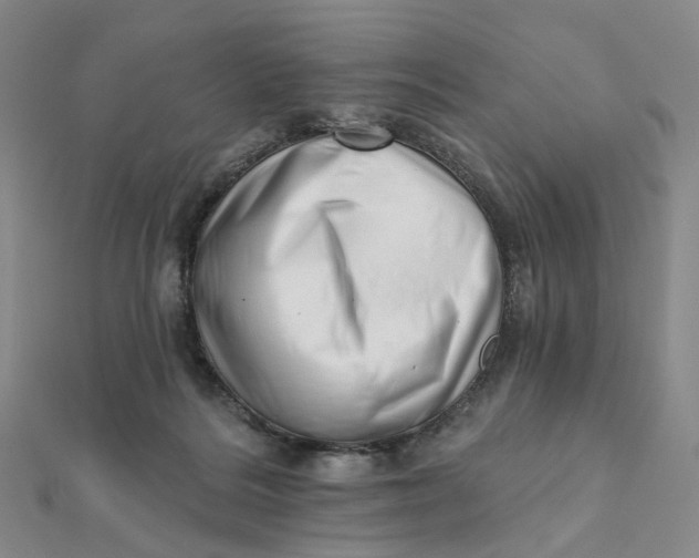 X0000112080220200908251112