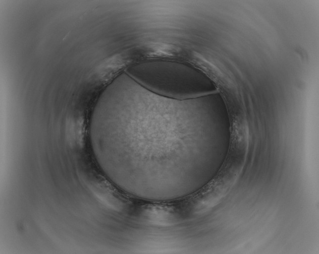 X0000112080223200908251112