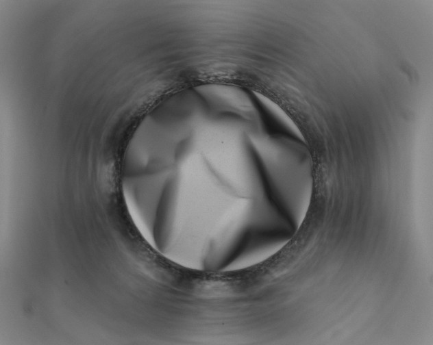 X0000112080224200908251112