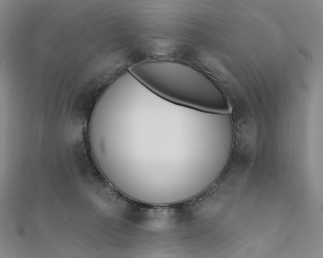 X0000112080225200908251112