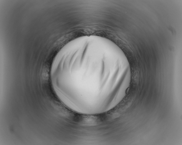X0000112080226200908251112