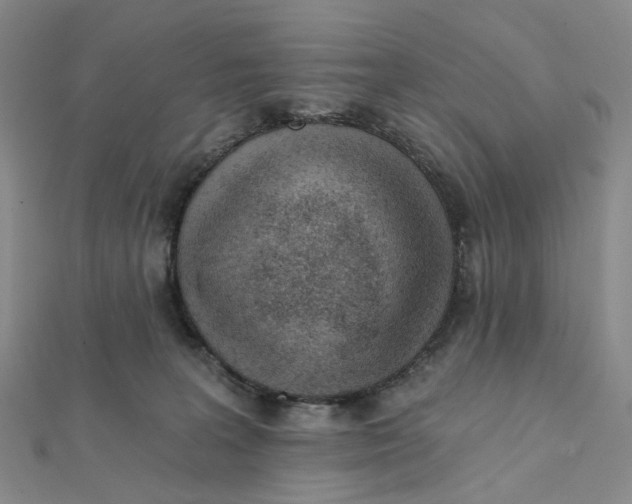 X0000112080227200908251112