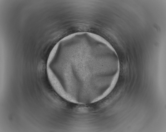 X0000112080228200908251112