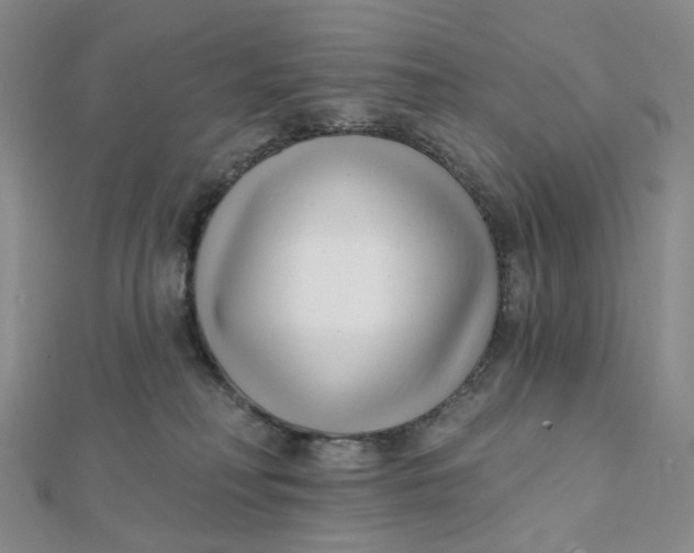 X0000112080230200908251112