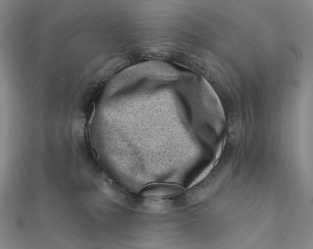 X0000112080231200908251112