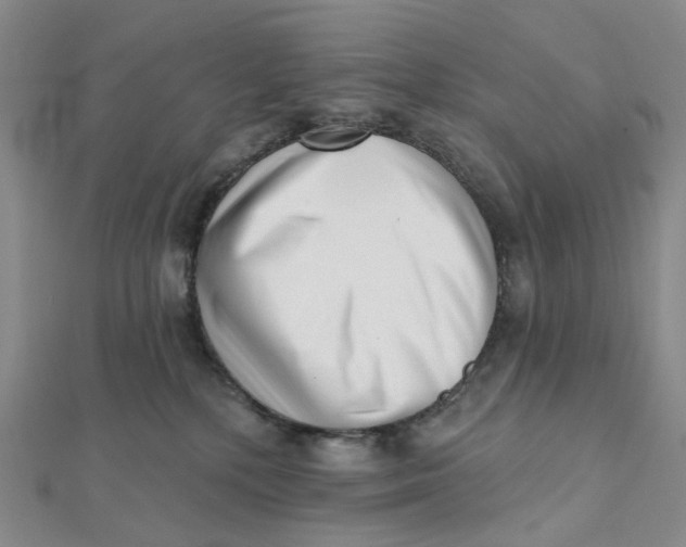 X0000112080232200908251112
