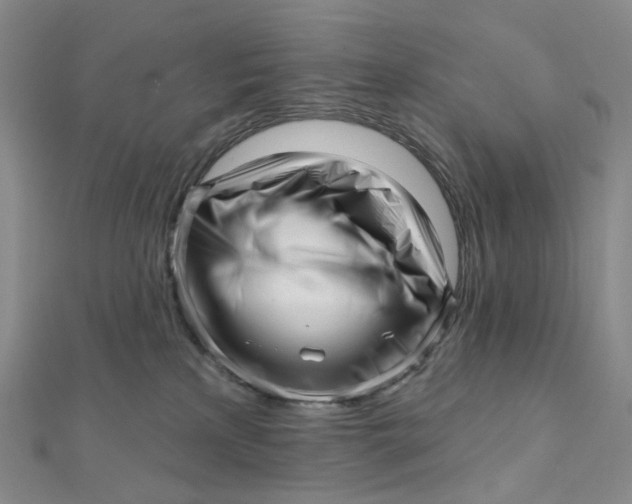 X0000112080233200908251112