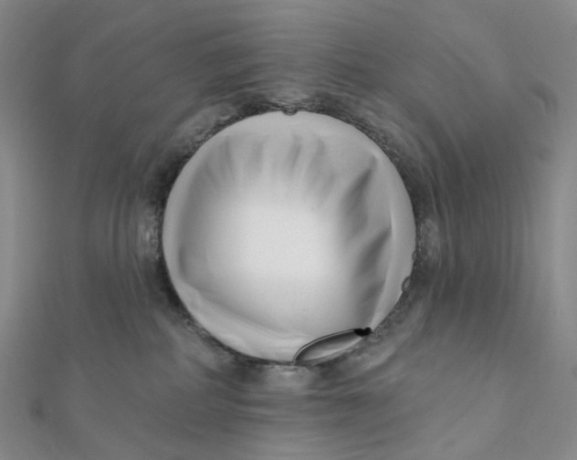 X0000112080234200908251112